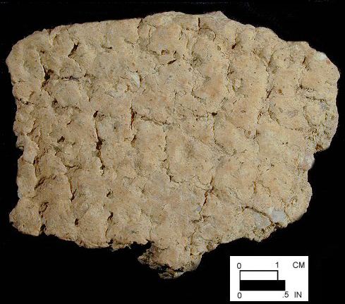 Wolfe Neck net-impressed body sherd from Lot# FRC1/38/71/11 - Courtesy of the Delaware State Museums.